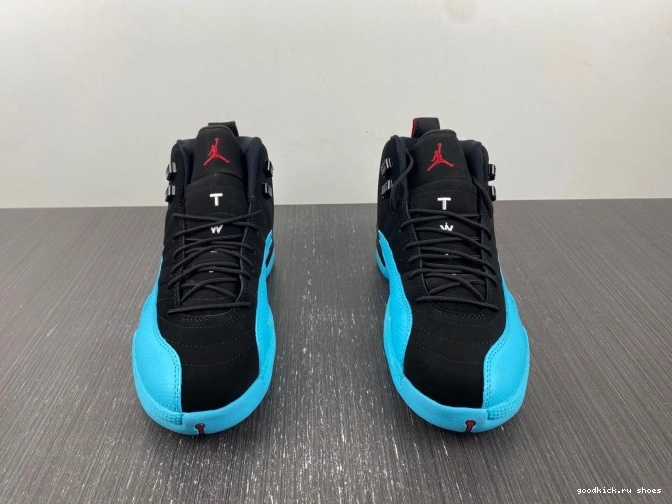 Gamma Retro 130690-027 Blue Jordan 12 0711